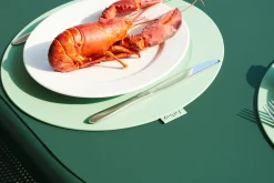 Place-we-met Placemat, groen, 36x36x0.4 cm